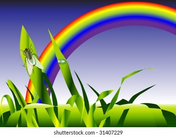 summer meadow with a rainbow and a housefly sitting on a blade of grass