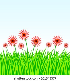 Summer meadow with red flowers