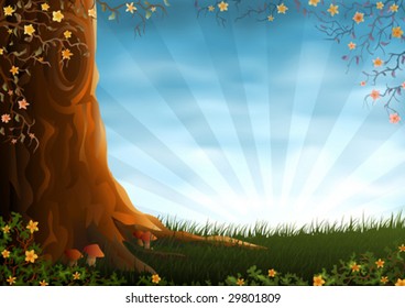 Summer meadow scenery (other landscapes are in my gallery)