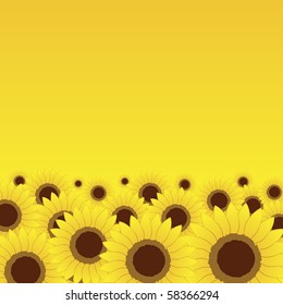 Summer meadow, sunflowers background for your design