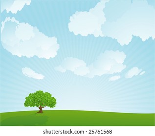Summer meadow. Vector background/