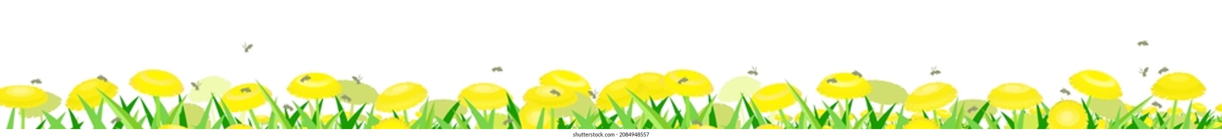 Summer meadow with yellow dandelions and bees. Isolated on white background bottom border frame. Horizontal composition. Close-up side view. Rural cute grassy landscape. Vector