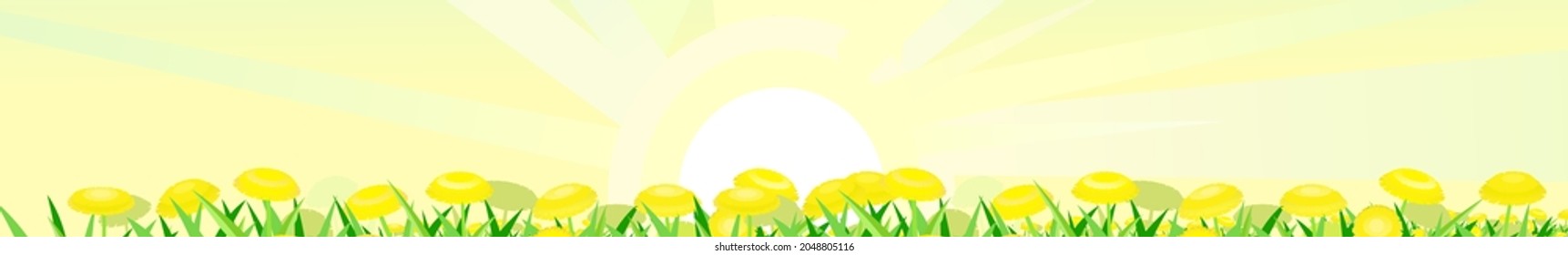 Summer meadow with yellow dandelions. Clear morning sky with sunrays. Horizontal composition. Close-up side view. Rural cute grassy landscape. Vector