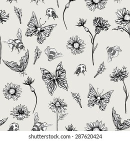 Summer Monochrome Vintage Floral Seamless Pattern with Blooming Chamomiles Cornflowers, Ladybird Bumblebee and Butterflies. Vector Shabby Illustration