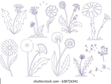 Sommerstimmung des Doodle der Feldhintergrund aus einem Camomilebbcbcvb. Vektorillustration