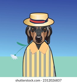 summer mood from a sausage dog in a hat