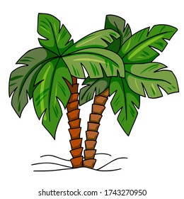 summer mood, two palms tree, plant,  color and line vector illustraion hand-drawn doodles isolated fo white background
