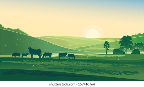 Summer morning. Rural Landscape and cows.