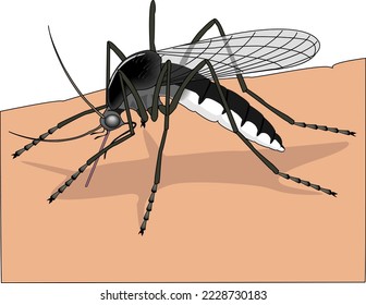 Ilustración del vector alimentador de mosquitos de verano