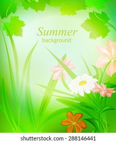 Summer natural background flora greenery and flowers