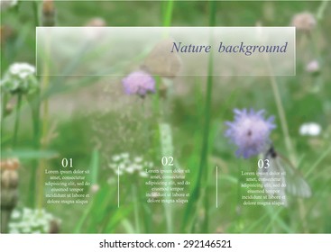 Summer nature  blurred  background. Vector illustration. Template for poster. Vector web and mobile interface template