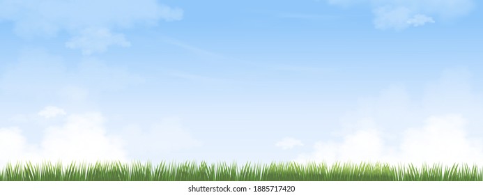 Summer nature with sky blue,fluffy cloud and green grass fields, Spring background with morning sky and yellow floers.Tamplate banner for Easter or Spring background