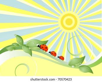 summer nature - vector