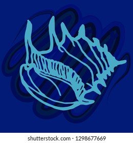 Summer new animal multicolored sea shell.