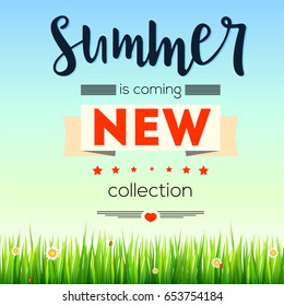 Summer new collection banner. Vintage style text poster with graphic elements, blue summer sky, green, lush grass, daisies and ladybugs. Template, mock-up online shopping, advertising, magazines.