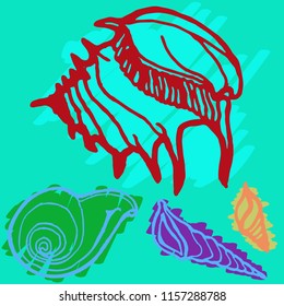 Summer new suite animal shell multicolor sea.