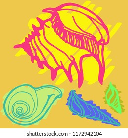 Summer new suite animal shell multicolor sea.