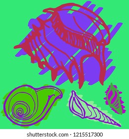 Summer new suite animal shell multicolored sea.