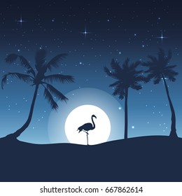 summer night flamingo background