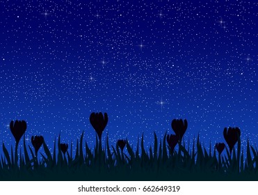 Summer night landscape with bright blue sky with glowing stars with grass and meadow flowers in the meadow. Beautiful romantic bright dark sky at night 