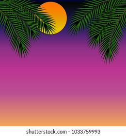 Summer Night. Palm trees in the night. Vector illustration.