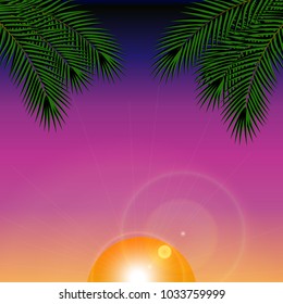 Summer Night. Palm trees in the night. Vector illustration.