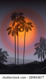 Summer Night. Palm trees in the night. Vector illustration. EPS 10