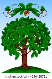 Summer oak