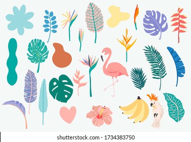 Summer object collection with flamingo,banana,parrot and flower.Vector illustration for icon,logo,sticker,printable,postcard and invitation