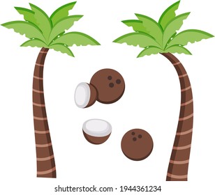 Summer Objects Coconut Palm Tree
