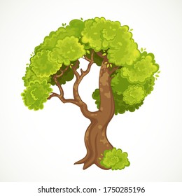 Summer old tree with green foliage vector drawing isolated on white background