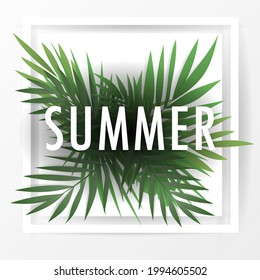 Summer on session palm leaves with the paper frame, isolated on white background, Vector illustration EPS 10