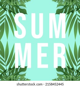 Summer on session palm leaves with the paper frame, isolated on green background, Vector illustration EPS 10