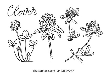 Summer outline doodle set with clover flowers. Monochrome seasonal botanical contour stickers. Vector clipart of sketch drawings isolated on white background