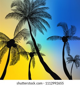 Summer palm background template