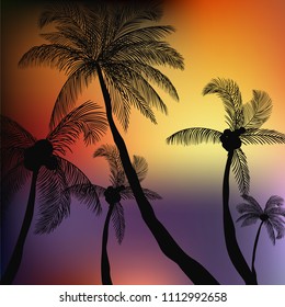Summer palm background template