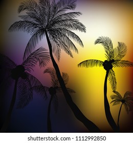 Summer palm background template