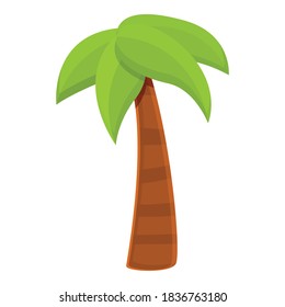 Summer palm icon. Cartoon of summer palm vector icon for web design isolated on white background