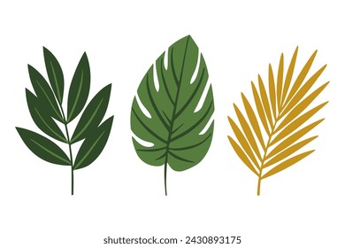 Planta verde vectorial de hojas de palma de verano, conjunto de naturaleza exótica aislada sobre fondo blanco.