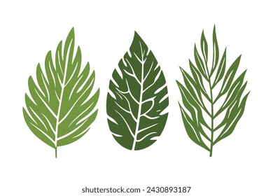 Summer palm leaf vector green plant, exotic nature set isolated on white background.