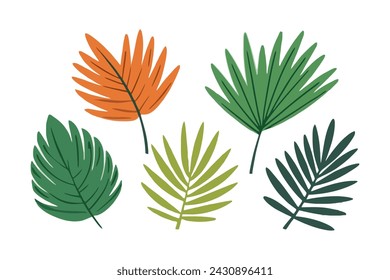Summer palm leaf vector green plant, exotic nature set isolated on white background.