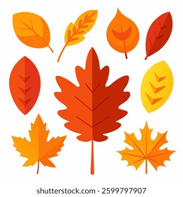 Summer palm leaf vector green plant, exotic nature set isolated on white background. Jungle illustration,  Vector illustration of autumn leaves