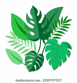Summer palm leaf vector green plant, exotic nature set isolated on white background. Jungle illustration,  Vector illustration of autumn leaves