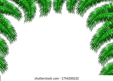 Summer palm leaves on a white background. Summer holidays with exotic leaves. Stock vector illustration isolated on a white isolated background.