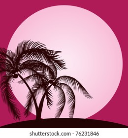 Summer palm on sunset background