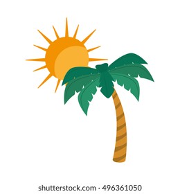 summer palm tree