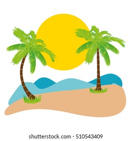 summer palm tree