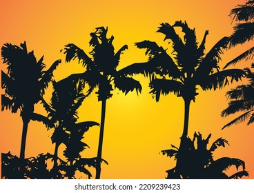 Summer Palm Tree Beach Background