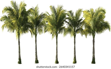 Summer palm trees vector, cut out, tropical foliage shapes, beach palm leaves, island paradise, exotic plants, tropical nature, sun beach trees, palm silhouettes, summer vibes
