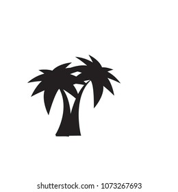 summer palma icon